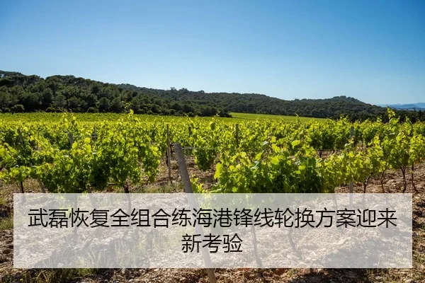武磊恢复全组合练海港锋线轮换方案迎来新考验
